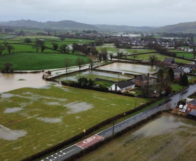 Plans for new mid Wales homes given green light