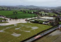 Plans for new mid Wales homes given green light