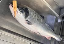 Facebook post about fish for sale leads to court appearance