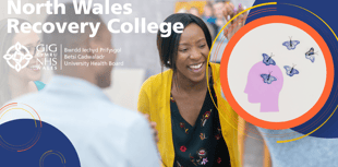 North Wales Recovery College plans