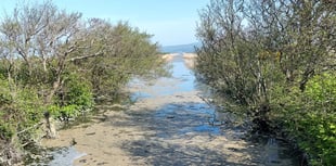 Brown scum spotted on river Leri NOT sewage according to NRW