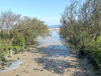 Brown scum spotted on river Leri NOT sewage according to NRW