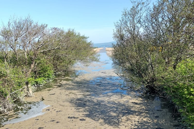 Scum on the surface of Afon Leri on 30 April