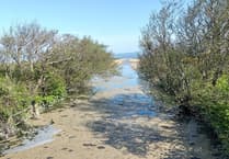 Brown scum spotted on river Leri NOT sewage says Natural Resources Wales