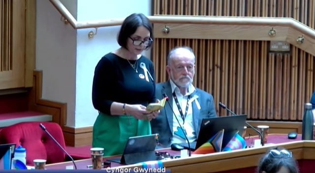 Gwynedd council adopt day to support sexual abuse victims