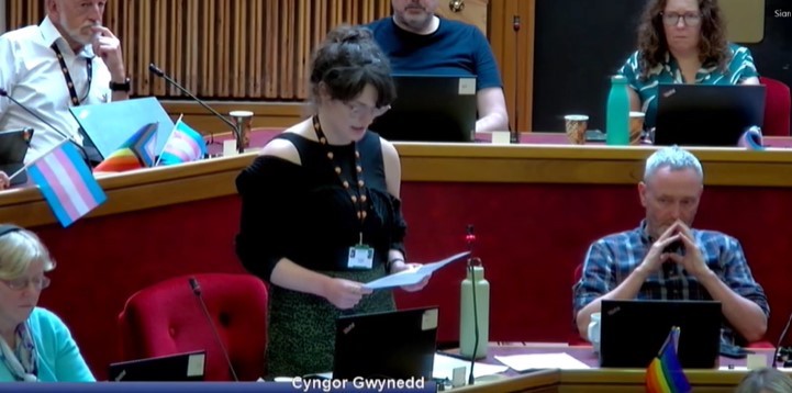 Cllr Llio Elenid Owen speaking at the Cyngor Gwynedd meeting. Photo: LDRS screenshot