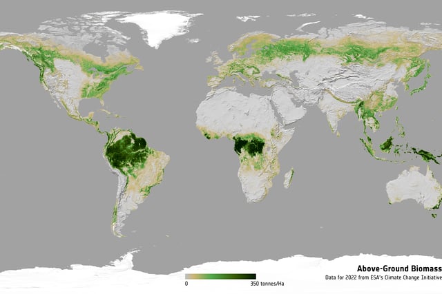 Aber Uni playing major role in tracking carbon changes
