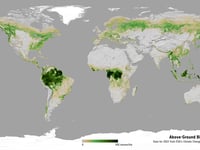 Aber Uni playing major role in tracking carbon changes