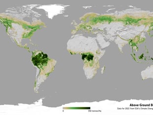 Aber Uni playing major role in tracking carbon changes
