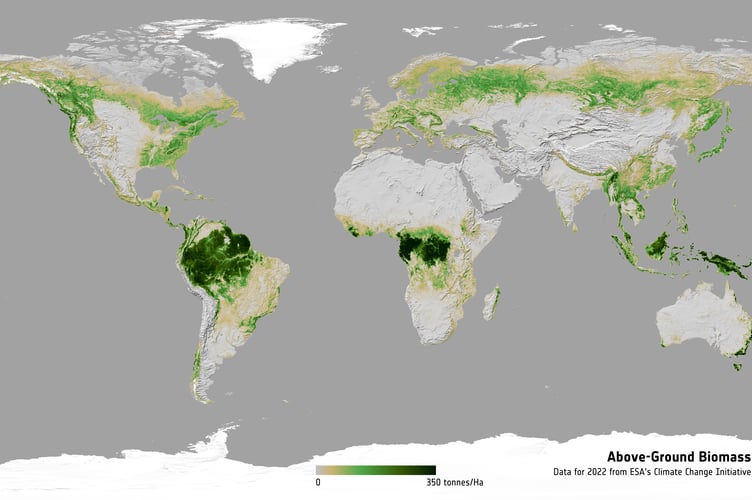 The distribution and density of above-ground biomass in 2022