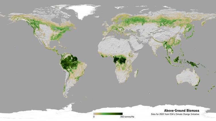 The distribution and density of above-ground biomass in 2022
