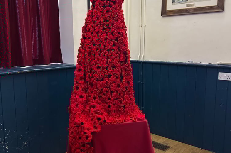 Criccieth's Gown of Poppies was on display