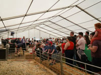Thousands visit Glynllifon marquee at Caernarfon Food Festival