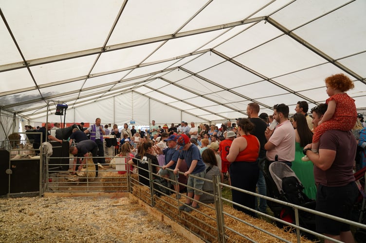 Visitors to Glynllifon marquee at Caernarfon Food Festival