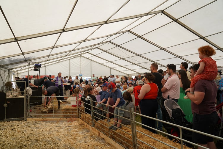 Visitors to Glynllifon marquee at Caernarfon Food Festival