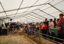 Thousands visit Glynllifon marquee at Caernarfon Food Festival