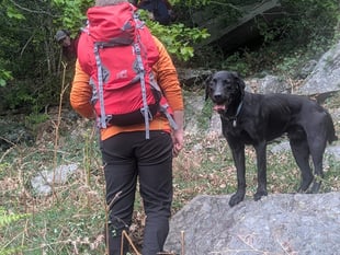 Aberglaslyn team rescues lost walker