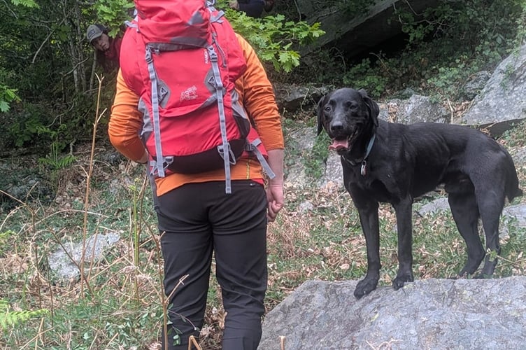 A small team, including Search and Rescue Dog Association SARDA Wales handler John and search dog Barney, was deployed to find the casualty. Photo: Aberglaslyn Mountain Rescue Team