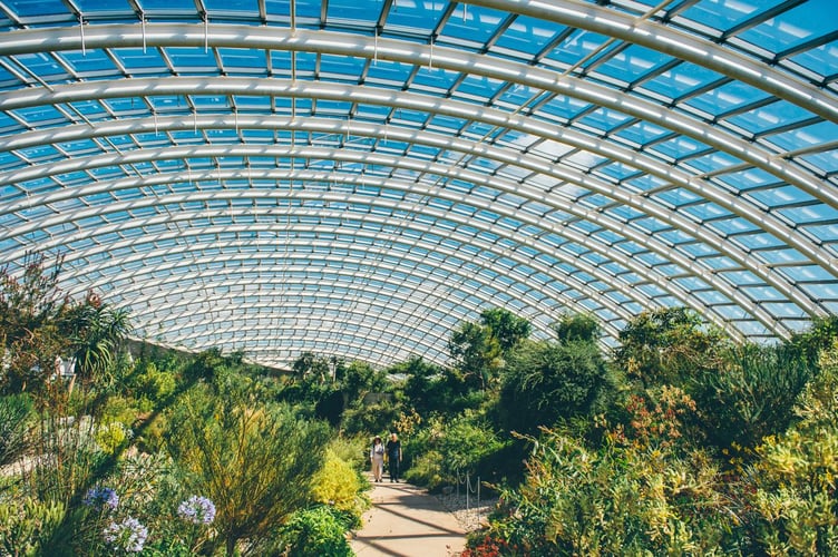 Botanic garden of wales