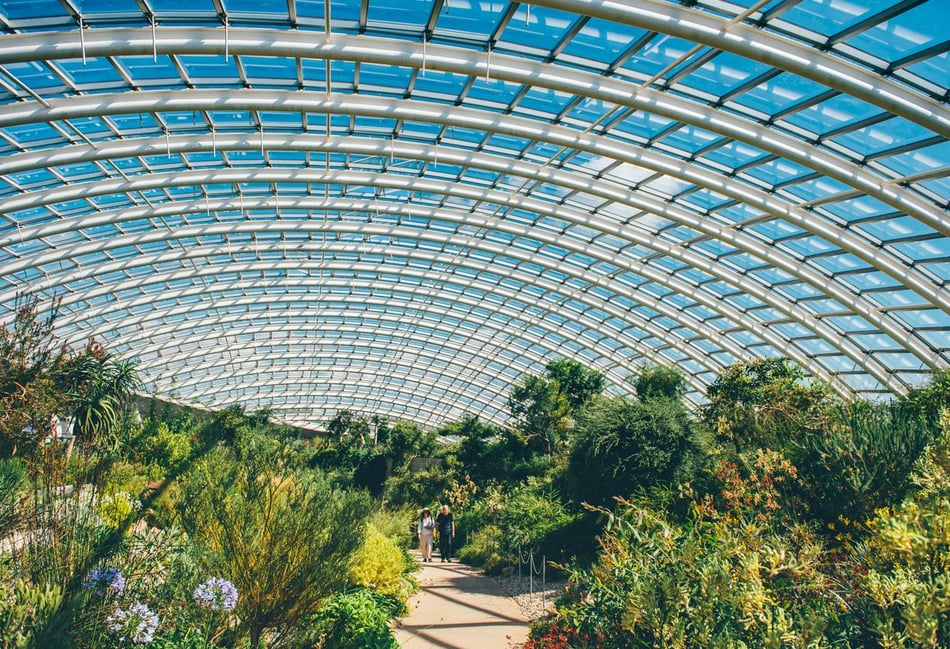 National Botanic Garden marks 25 years with bank holiday celebration