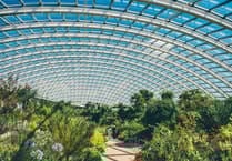 National Botanic Garden of Wales marks 25 years with bank holiday celebration