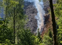 Five crews called to fight 15-hectare forest fire in Glaspwll
