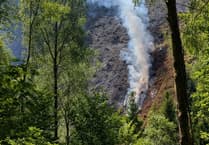 Five crews called to fight 15-hectare forest fire in Glaspwll