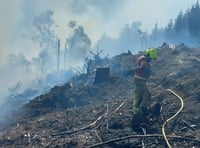 Glaspwll fire “breaches fire breaks” as six more crews called in