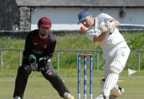 Dolgellau falter in home cricket clash