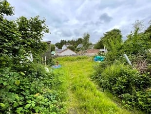 Housing development given go ahead