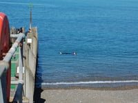 RNLI call on public to practice floating in new Float to Live campaign