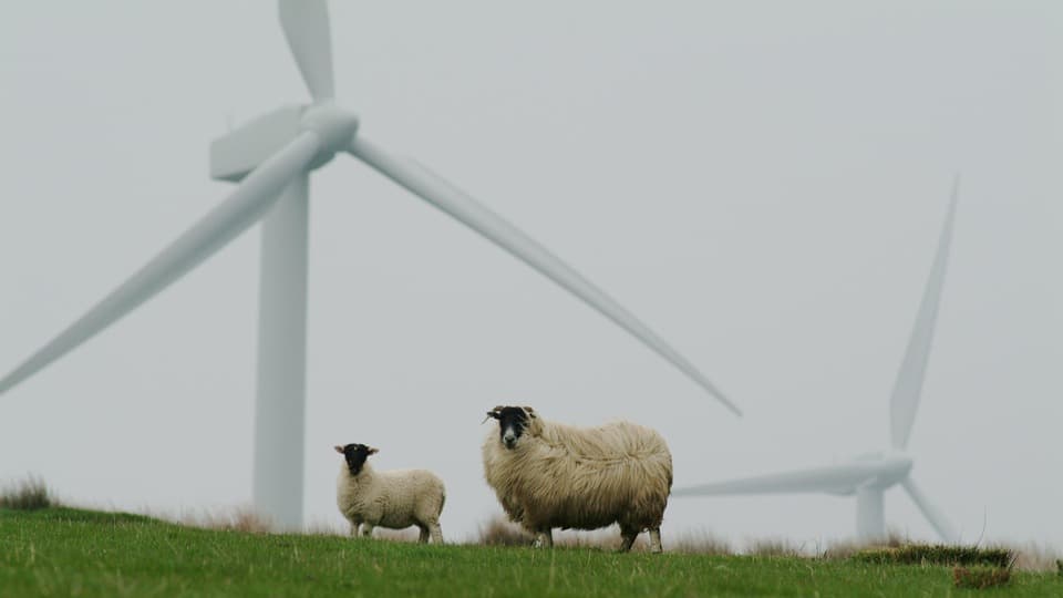 Public notices and the surge in Welsh wind farms
