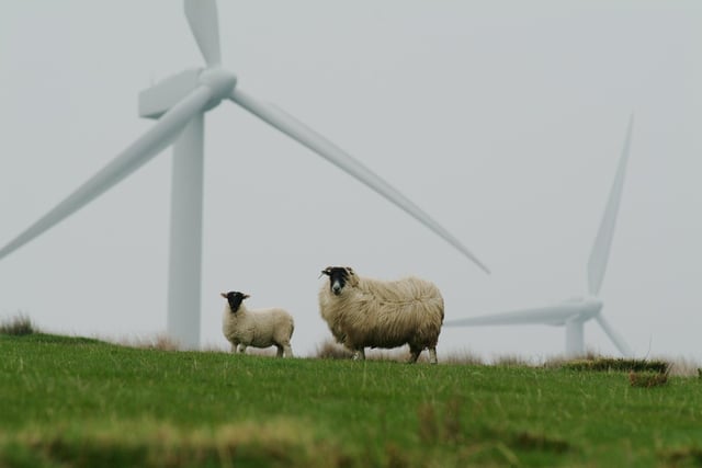 Calls to pause wind farm proposals in mid Wales