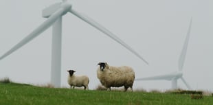 Calls to pause wind farm proposals in mid Wales