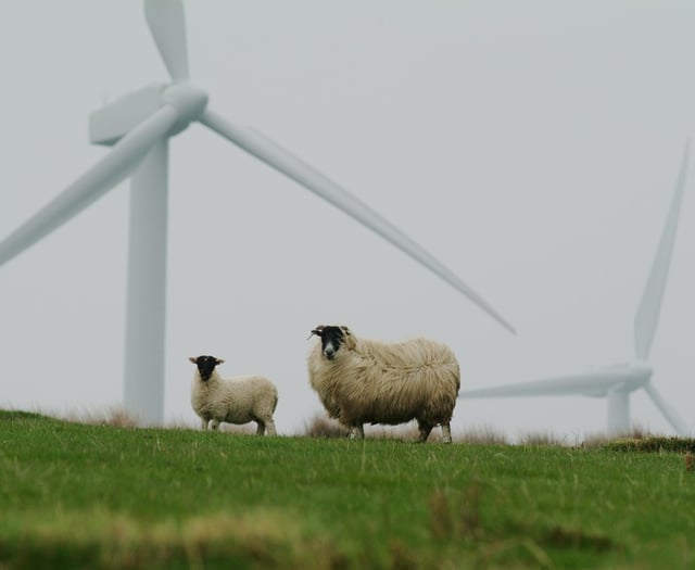 Calls to pause wind farm proposals in mid Wales