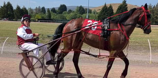 Harness racing opens at Tairgwaith