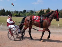 Harness racing opens at Tairgwaith