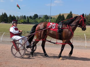 Harness racing opens at Tairgwaith