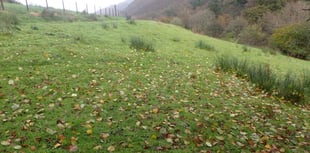 Gwynedd rejects Corris glamping plan