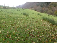 Gwynedd rejects Corris glamping plan