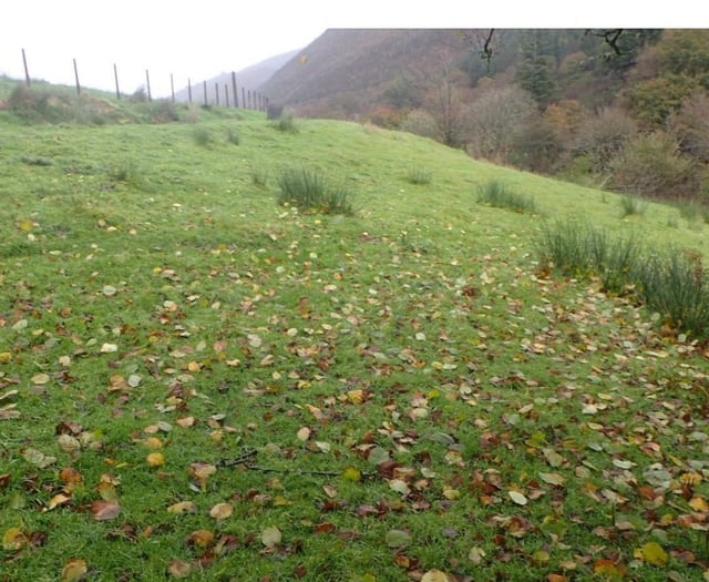 Gwynedd rejects Corris glamping plan