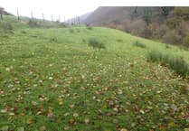 Corris glamping plans hit roadblock