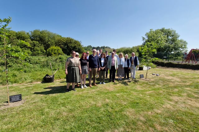 Oak trees planted in Llanbadarn in memory of Ben and Tegwen