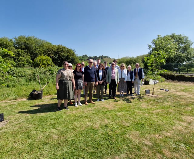 Oak trees planted in Llanbadarn in memory of Ben and Tegwen