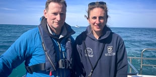 Project to uncover secret lives of Cardigan Bay dolphins