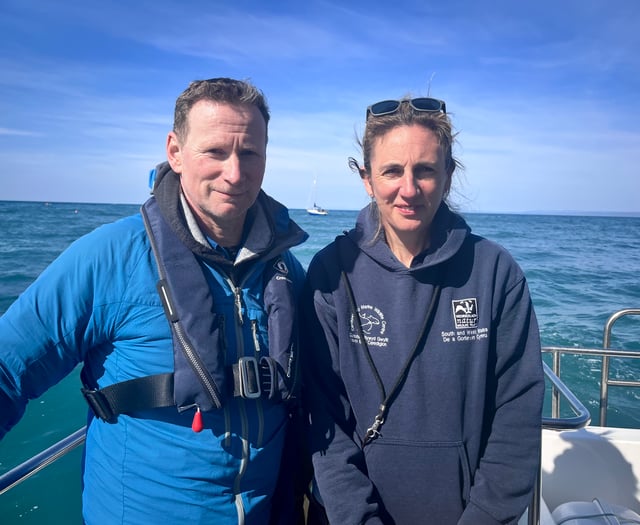 Project to uncover secret lives of Cardigan Bay dolphins