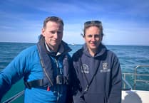 Marine detectives shine a light on secret lives of Cardigan Bay dolphins