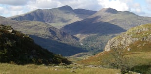 The hills are alive with the sound of robots