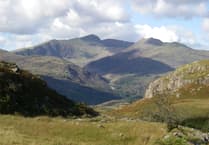 The hills are alive with the sound of robots
