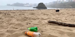 Why we need to curb plastics